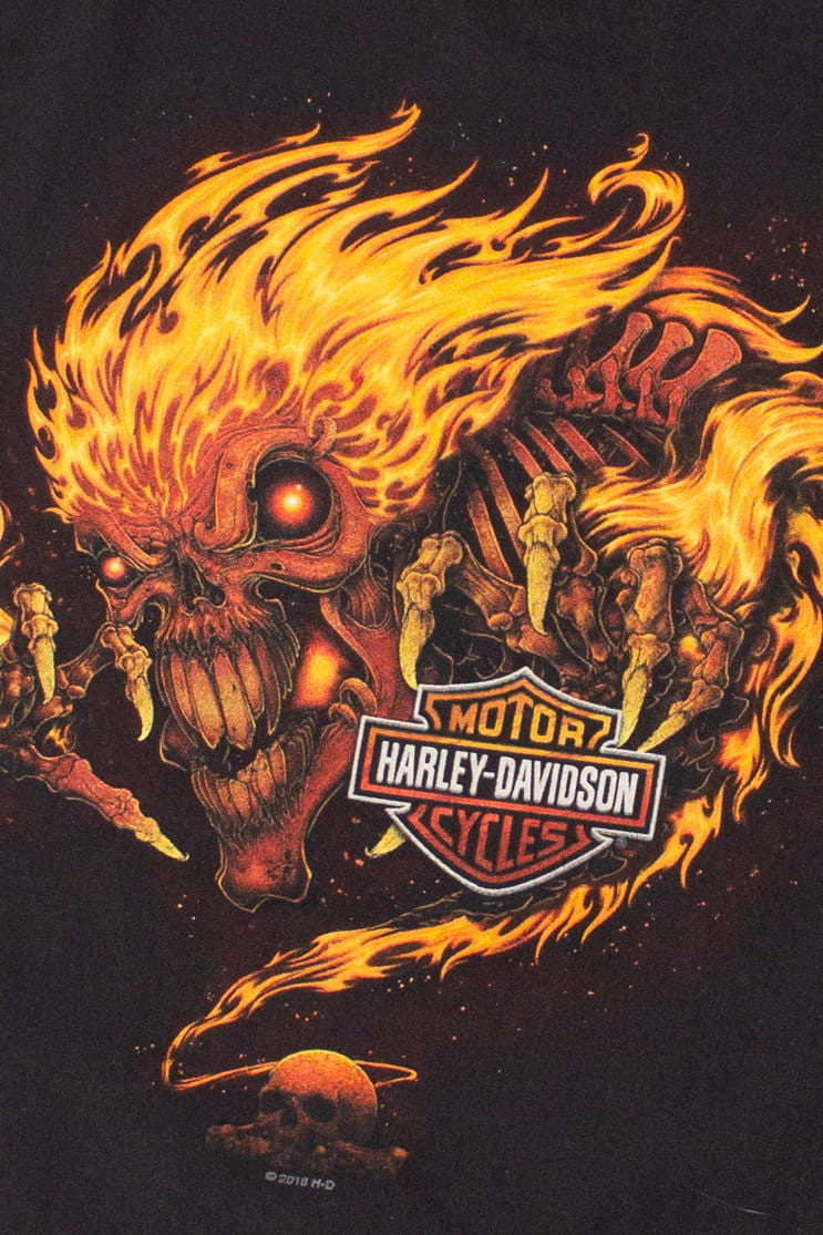 Staunton Virginia Harley Davidson T-Shirt (2018)