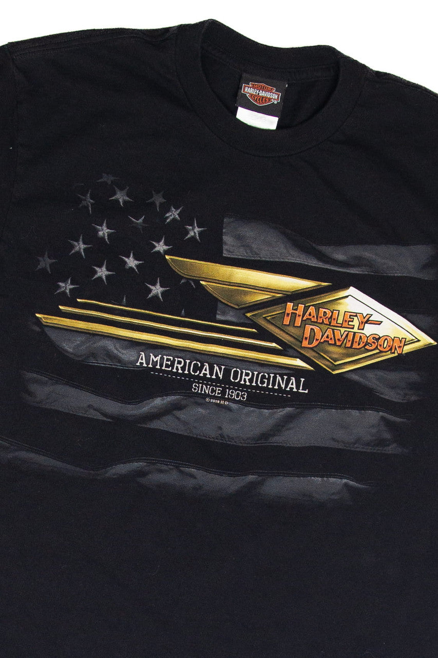 Harley Davidson Brighton Michigan T-Shirt (2018)