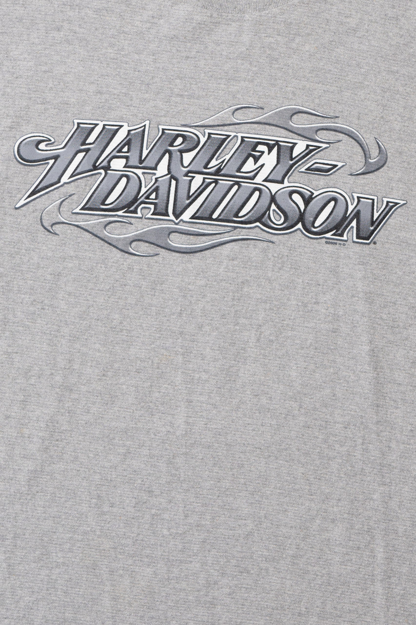 Harley Davidson Chrome Logo Micro Striped Heavyweight T-Shirt