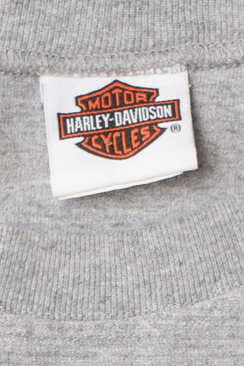 Harley Davidson Chrome Logo Micro Striped Heavyweight T-Shirt