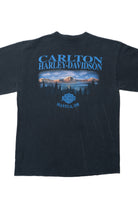 Vintage Y2K Harley Davidson Mantua, OH Flame Sleeves T-Shirt
