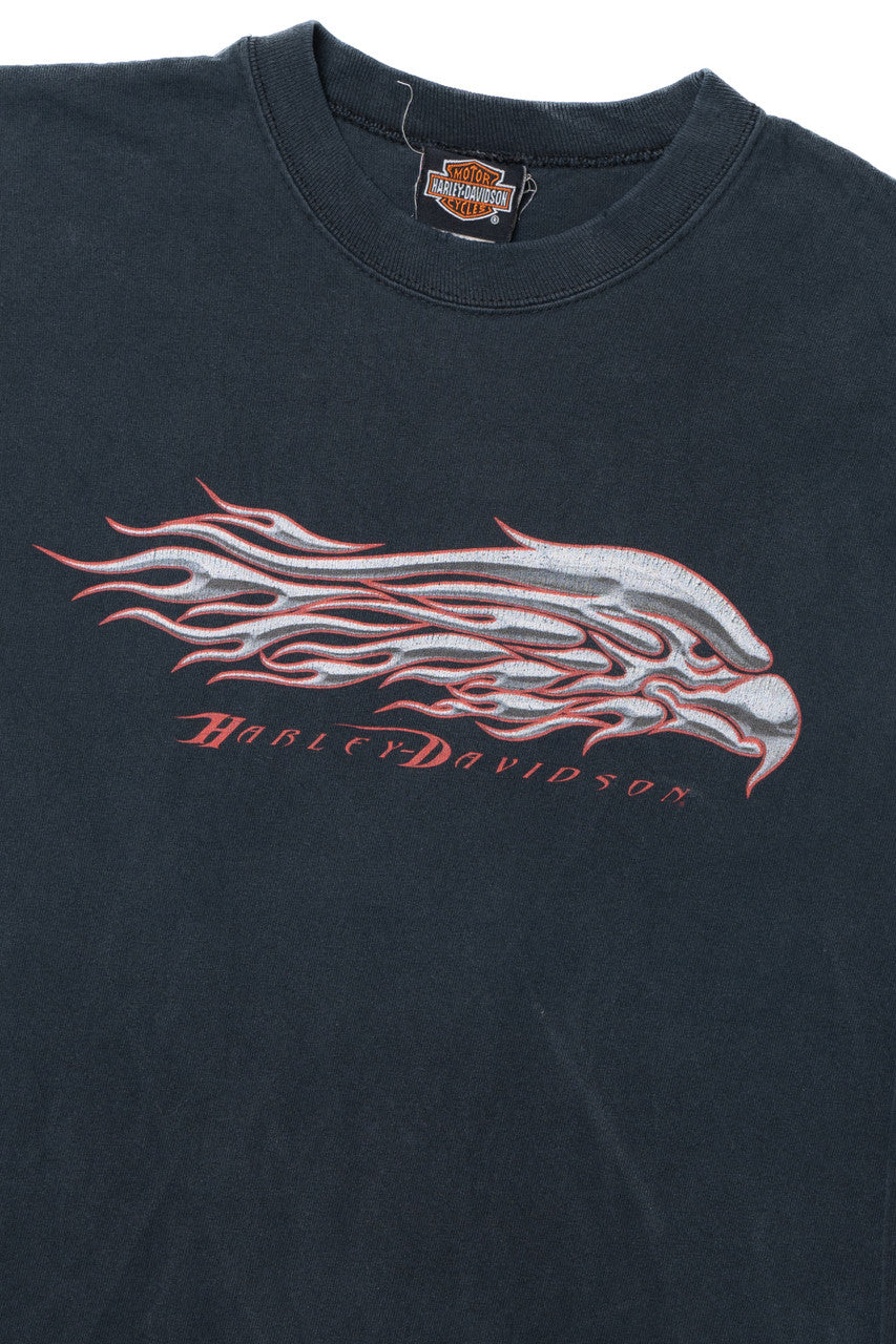 Vintage Y2K Harley Davidson Mantua, OH Flame Sleeves T-Shirt