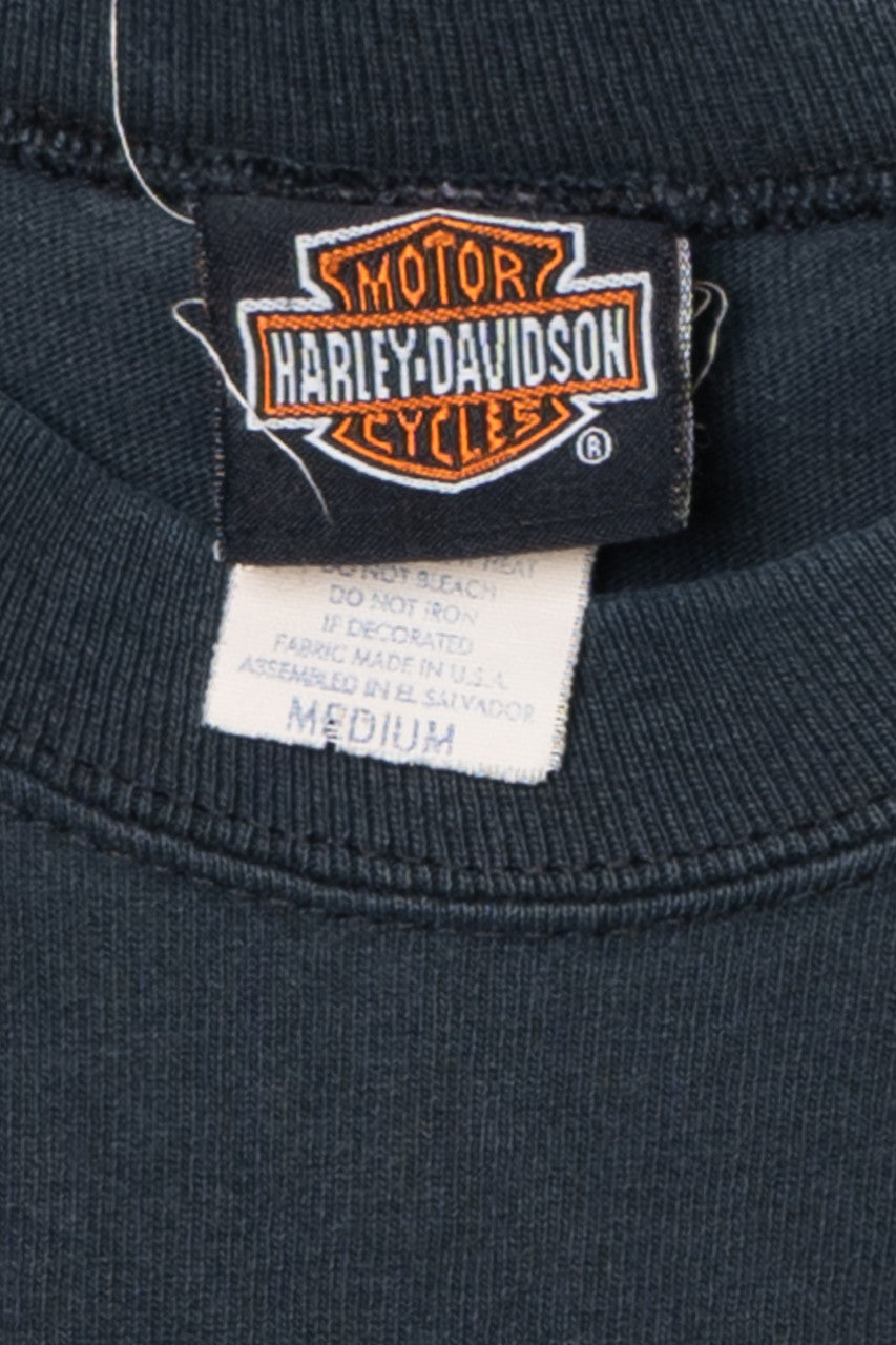 Vintage Y2K Harley Davidson Mantua, OH Flame Sleeves T-Shirt