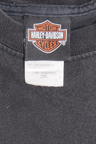 Harley Davidson Wildcat "Let Freedom Roar" Flame Sleeves T-Shirt