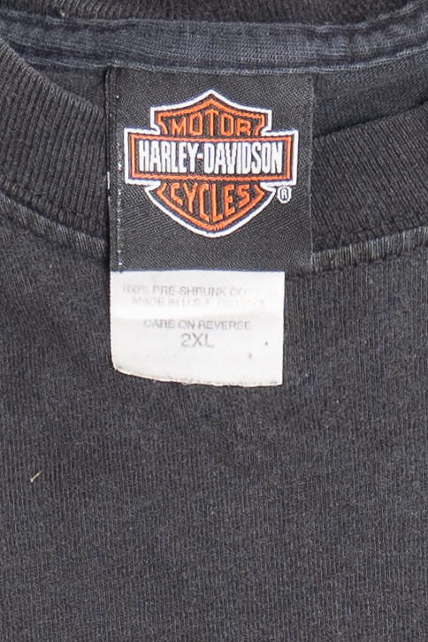 Harley Davidson Wildcat "Let Freedom Roar" Flame Sleeves T-Shirt