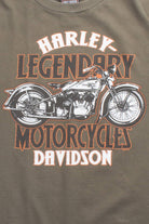 Niagara Falls Harley Davidson T-Shirt