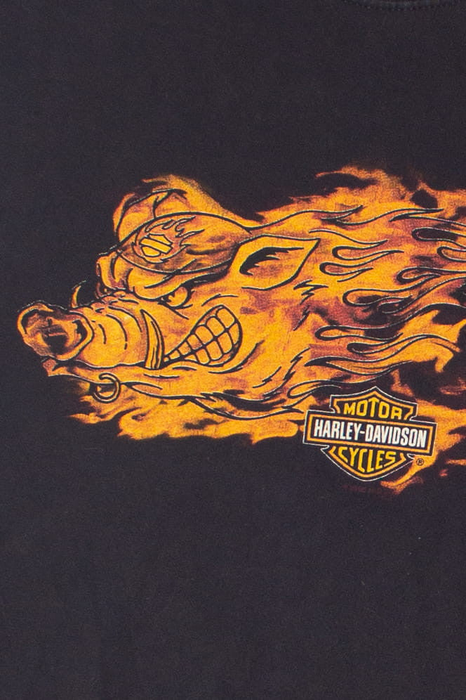 New River Gorge West Virginia Harley Davidson T-Shirt (2008)
