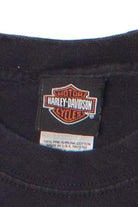 New River Gorge West Virginia Harley Davidson T-Shirt (2008)