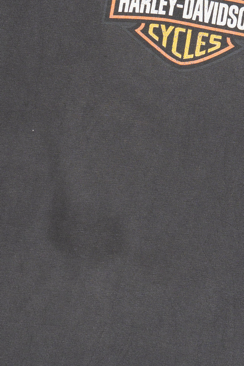 Vintage Harley Davidson Eagle "Orange Park, FL" T-Shirt (2000s)