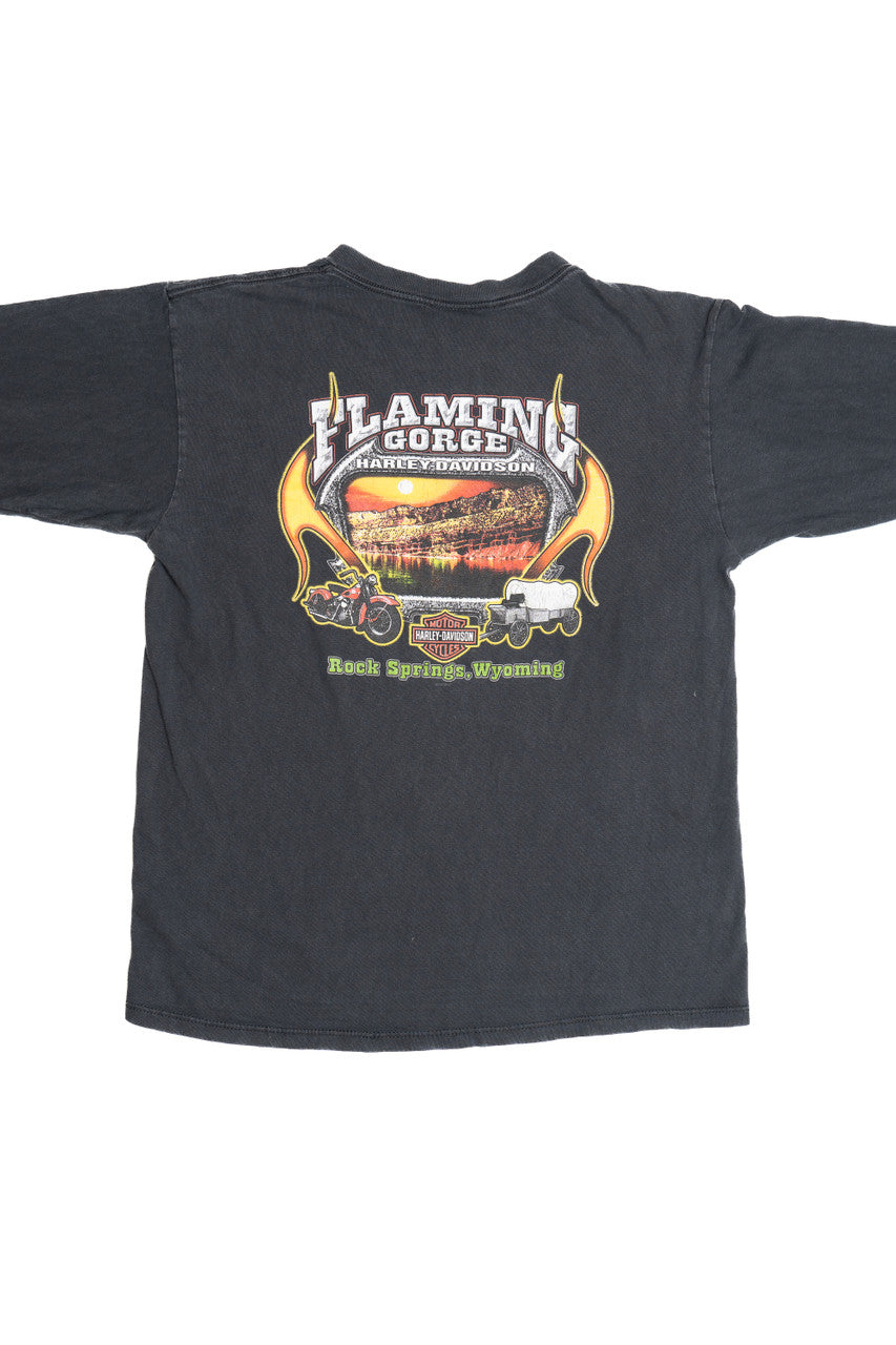 Harley Davidson Faded Flame Sleeve "Flaming Gorge" Long Sleeve T-Shirt (2000s)