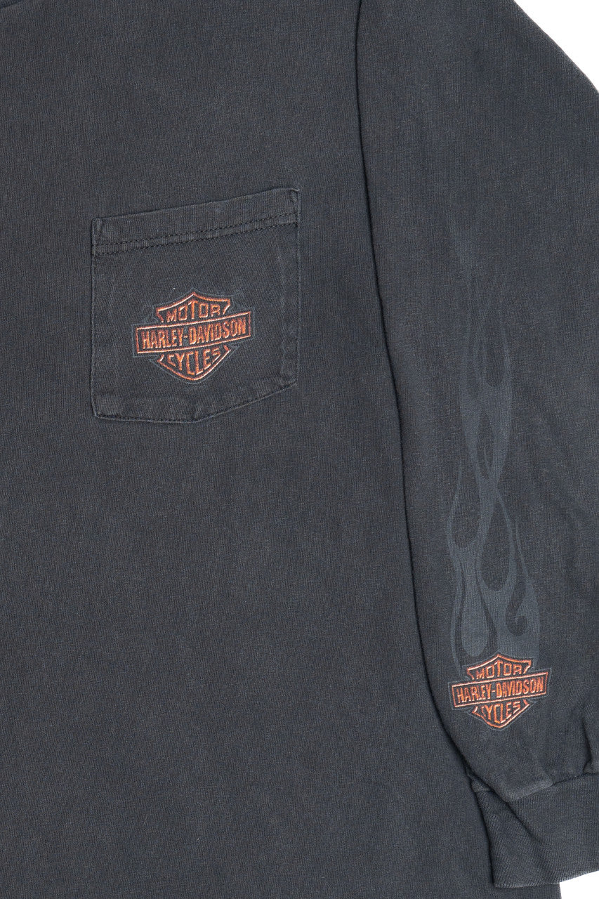 Harley Davidson Faded Flame Sleeve "Flaming Gorge" Long Sleeve T-Shirt (2000s)