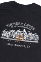 Harley Davidson "Biker To The Bone" "Thunder Creek" Eagle T-Shirt (2010s)