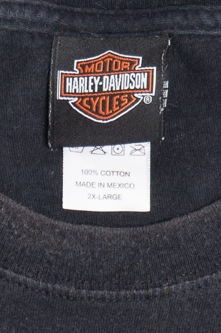 Harley Davidson Skulls & Flames Rochester Minnesota T-Shirt (2000s)