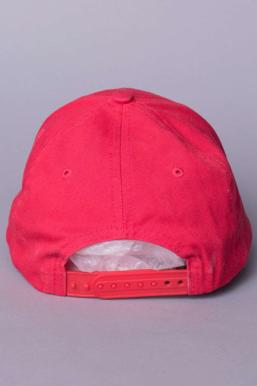 Vintage Budweiser Snapback Hat
