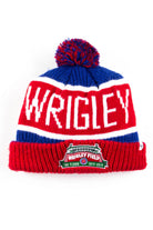 Wrigley Field 100 Years Pom Pom Vintage Beanie