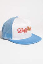 Vintage 'Dollywood' Trucker Hat