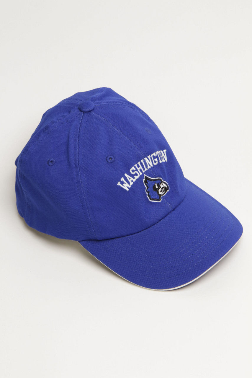 Blue Sports Ball Cap