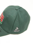 Dale Earnhardt Jr. Velcro Ball Cap
