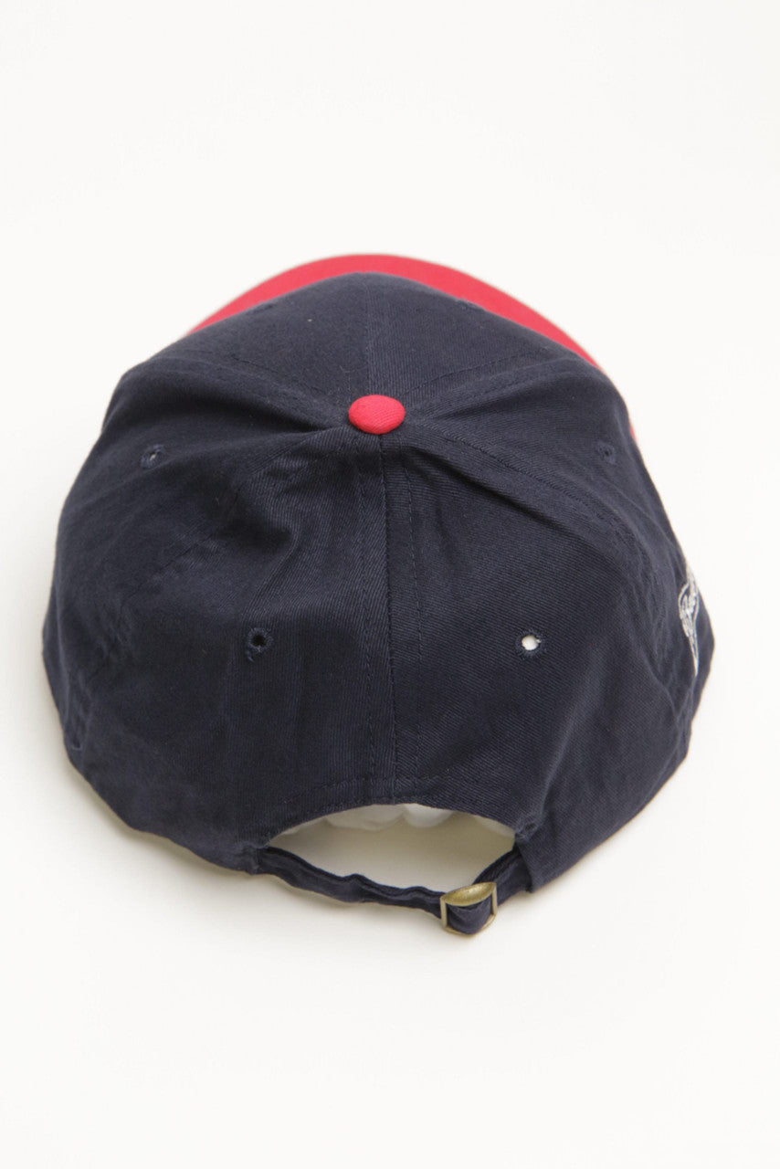 Vintage Budweiser Hat