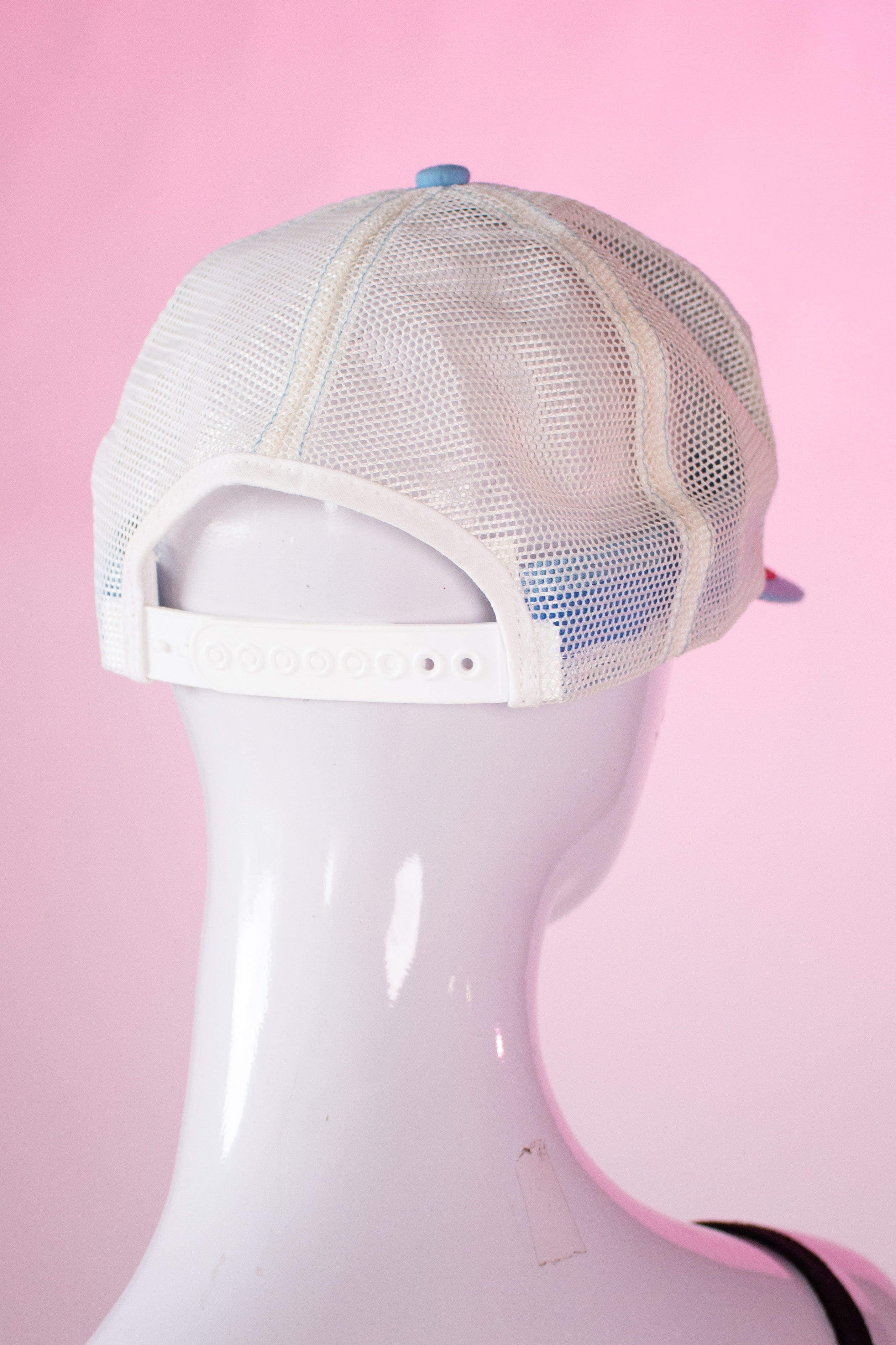 Vintage LandO'Lakes Snapback Hat (1990s)