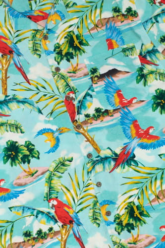 Parrot & Island Hawaiian Shirt