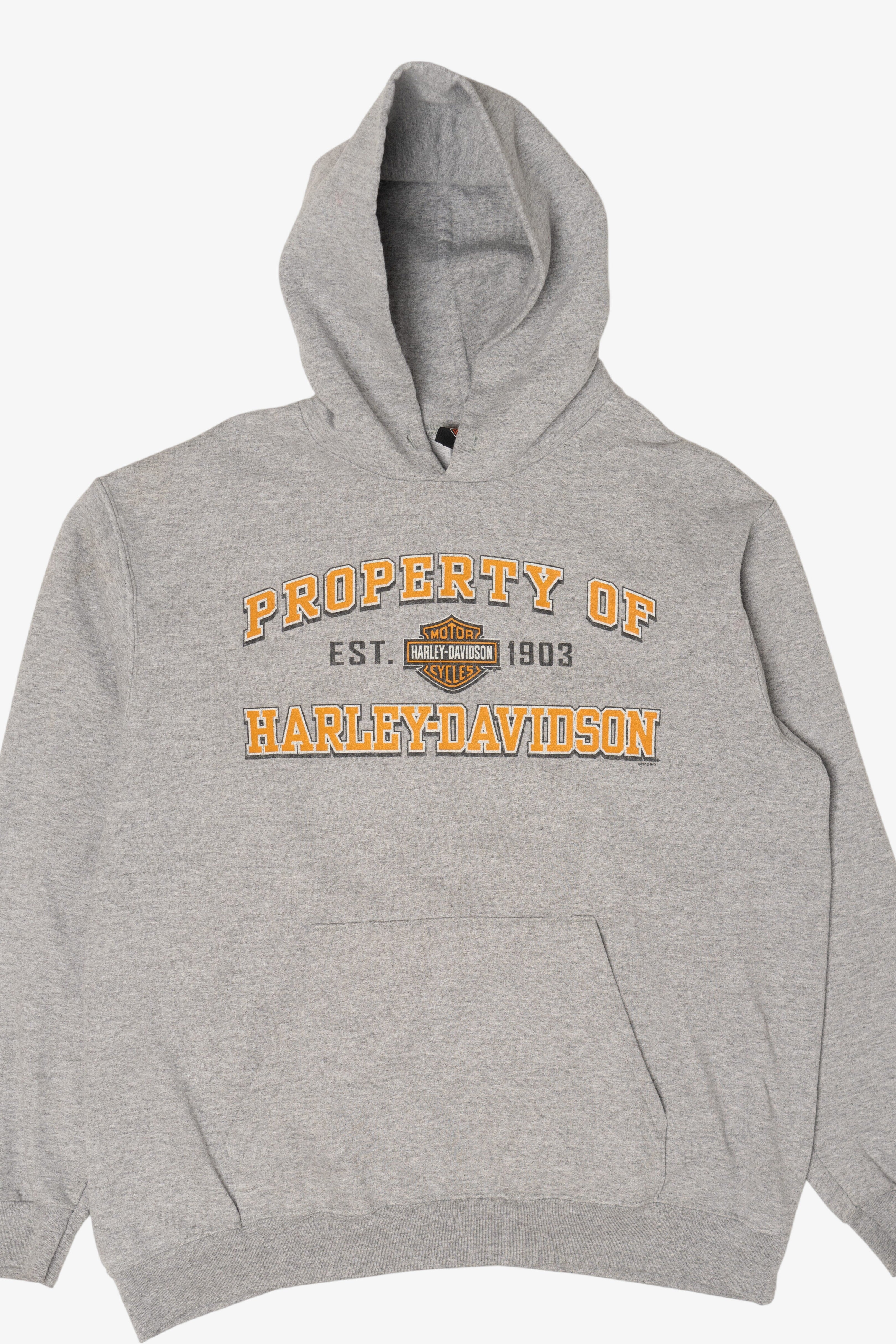 Harley Davidson Gray Hoodie Sweatshirt (2010s)
