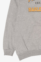 Harley Davidson Gray Hoodie Sweatshirt (2010s)
