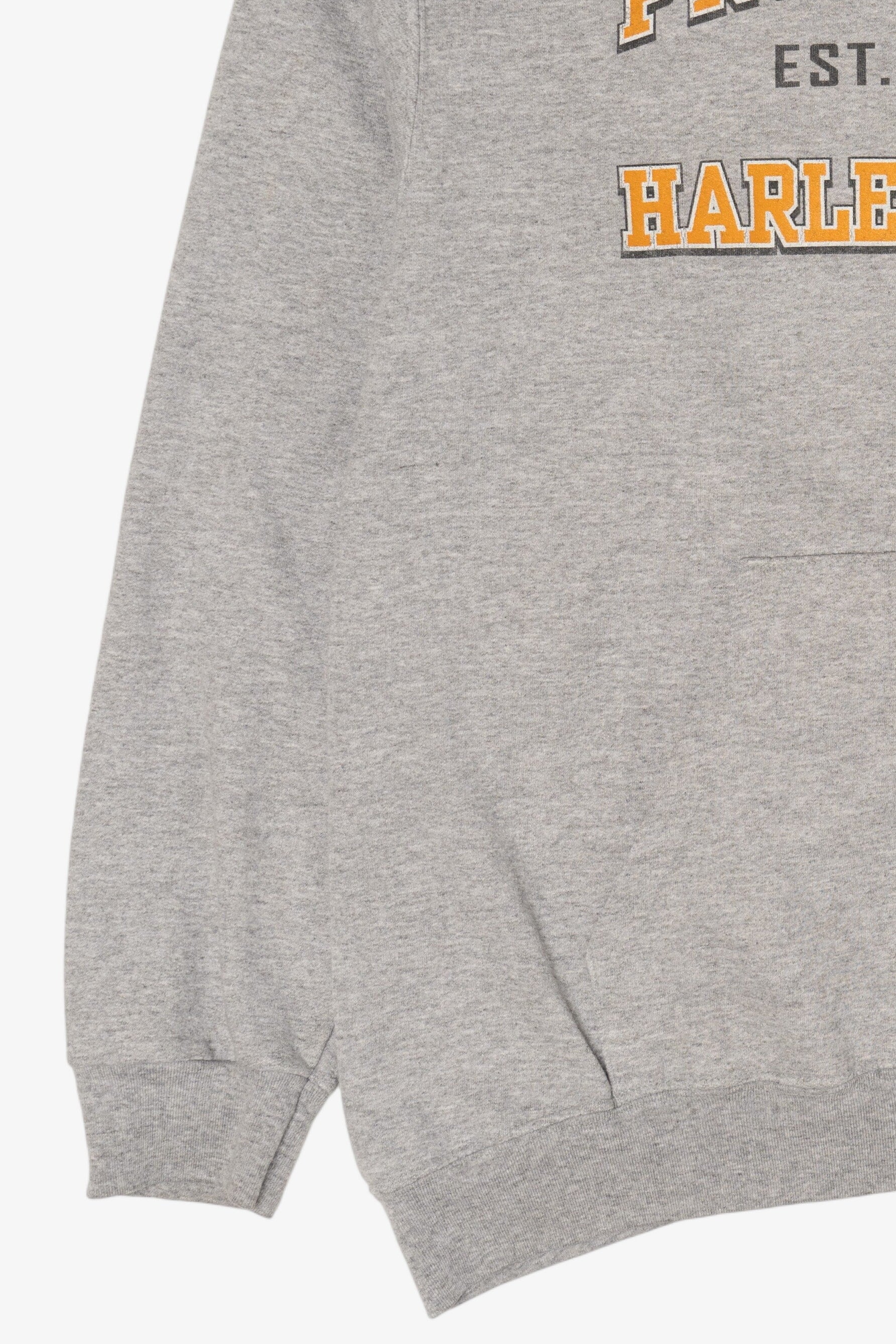 Harley Davidson Gray Hoodie Sweatshirt (2010s)