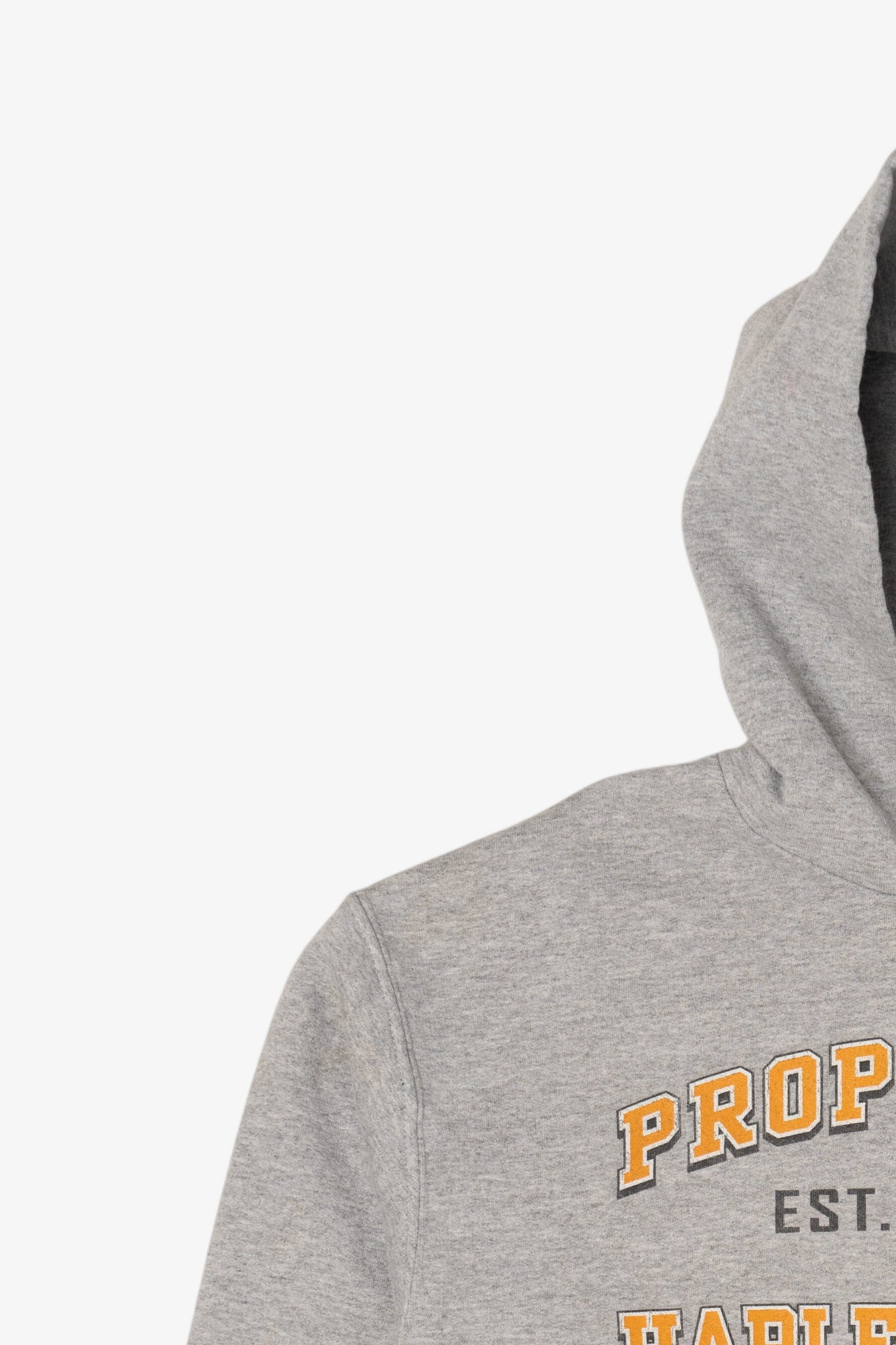 Harley Davidson Gray Hoodie Sweatshirt (2010s)