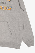 Harley Davidson Gray Hoodie Sweatshirt (2010s)