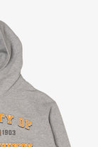 Harley Davidson Gray Hoodie Sweatshirt (2010s)