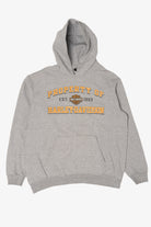 Harley Davidson Gray Hoodie Sweatshirt (2010s)