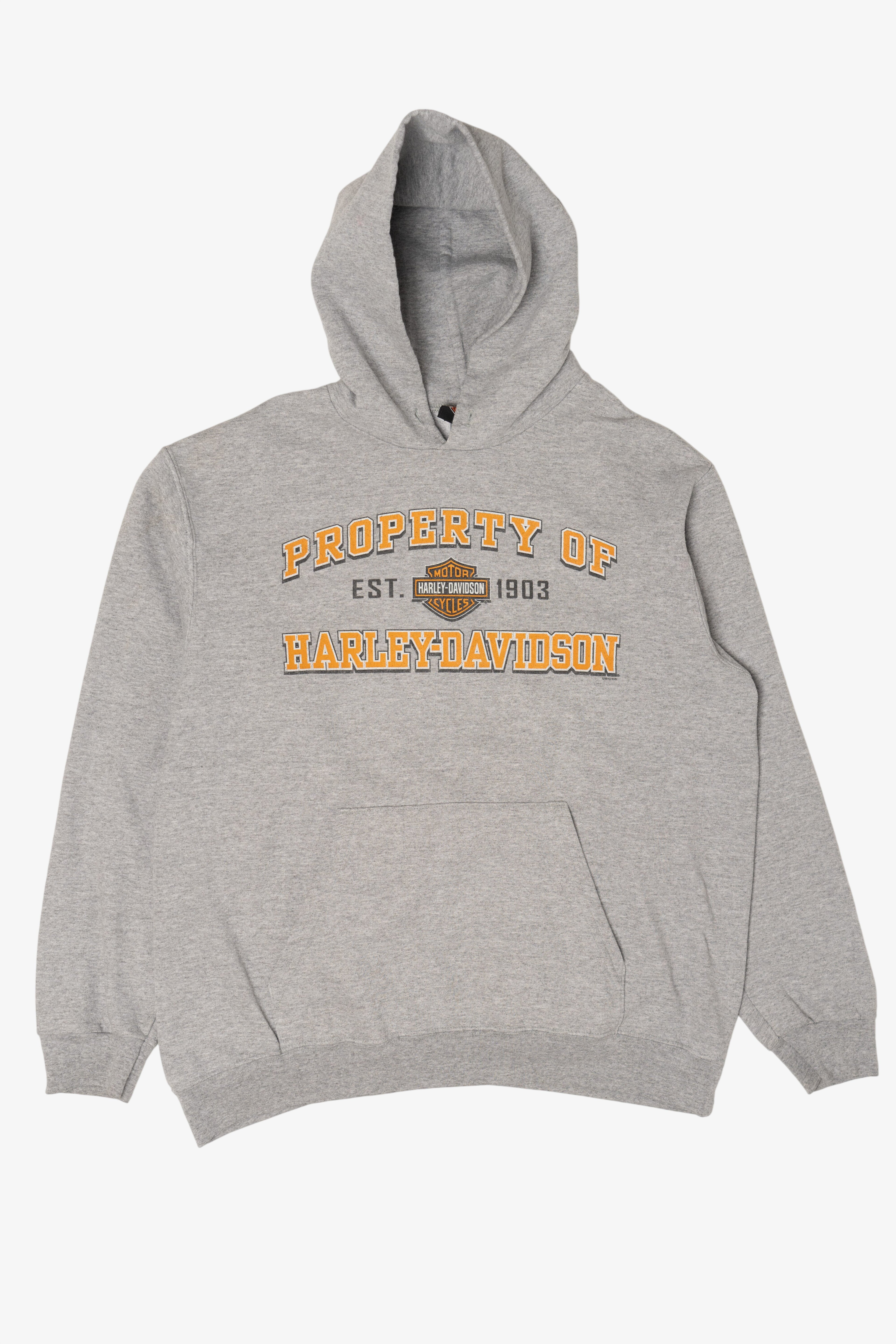 Harley Davidson Gray Hoodie Sweatshirt (2010s)