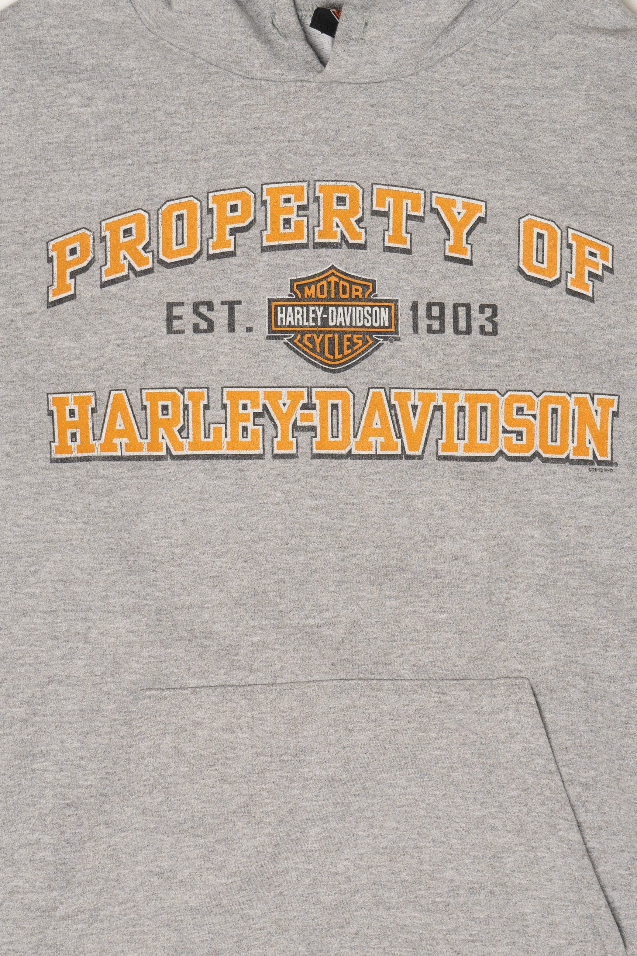 Harley Davidson Gray Hoodie Sweatshirt (2010s)