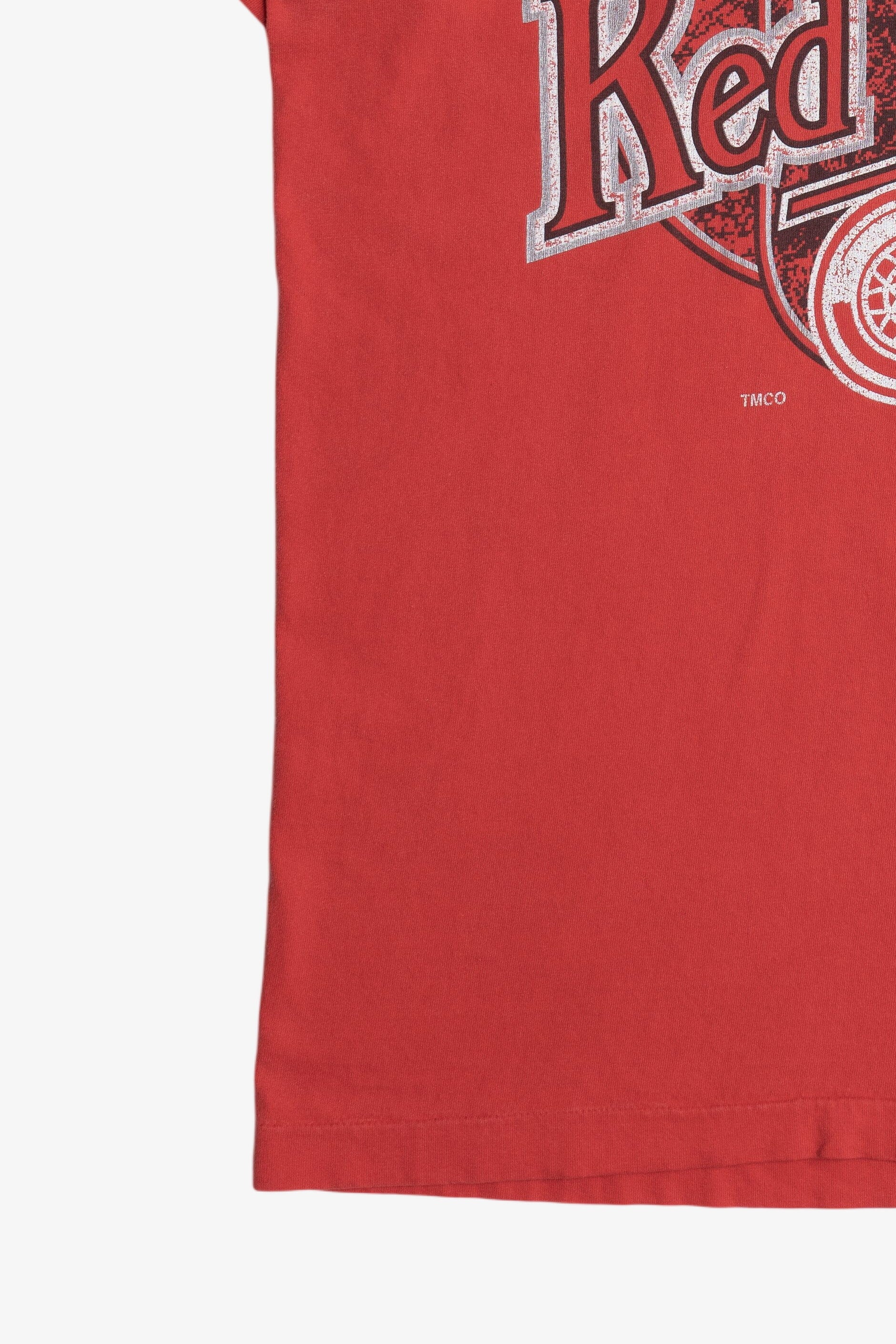 Vintage Detroit Red Wings Stanley Cup 1995 NHL T-Shirt (1990s)
