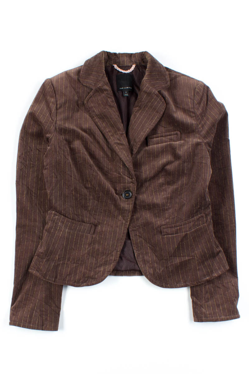 Brown Pinstripe Velvet Blazer