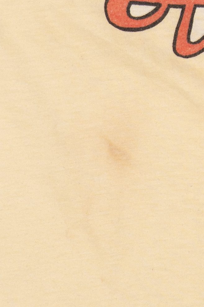 Vintage Tennessee State Parks Running Tour T-Shirt (1980s)
