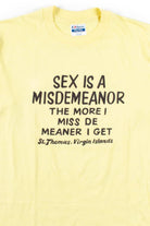 Sex Is A Misdemeanor T-Shirt (Single Stitch)