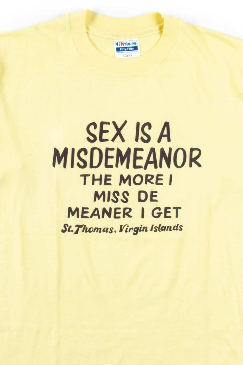 Sex Is A Misdemeanor T-Shirt (Single Stitch)