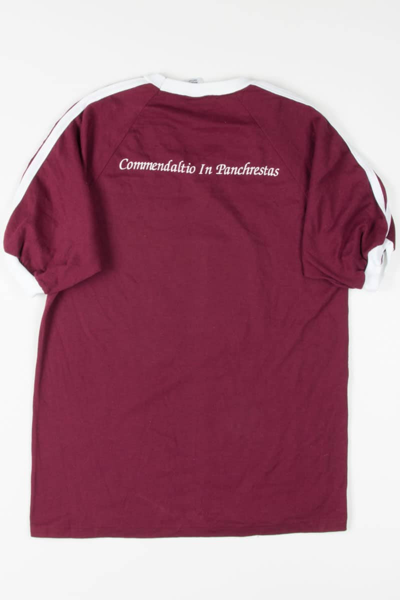 Burgundy Striped Shoulder T-Shirt