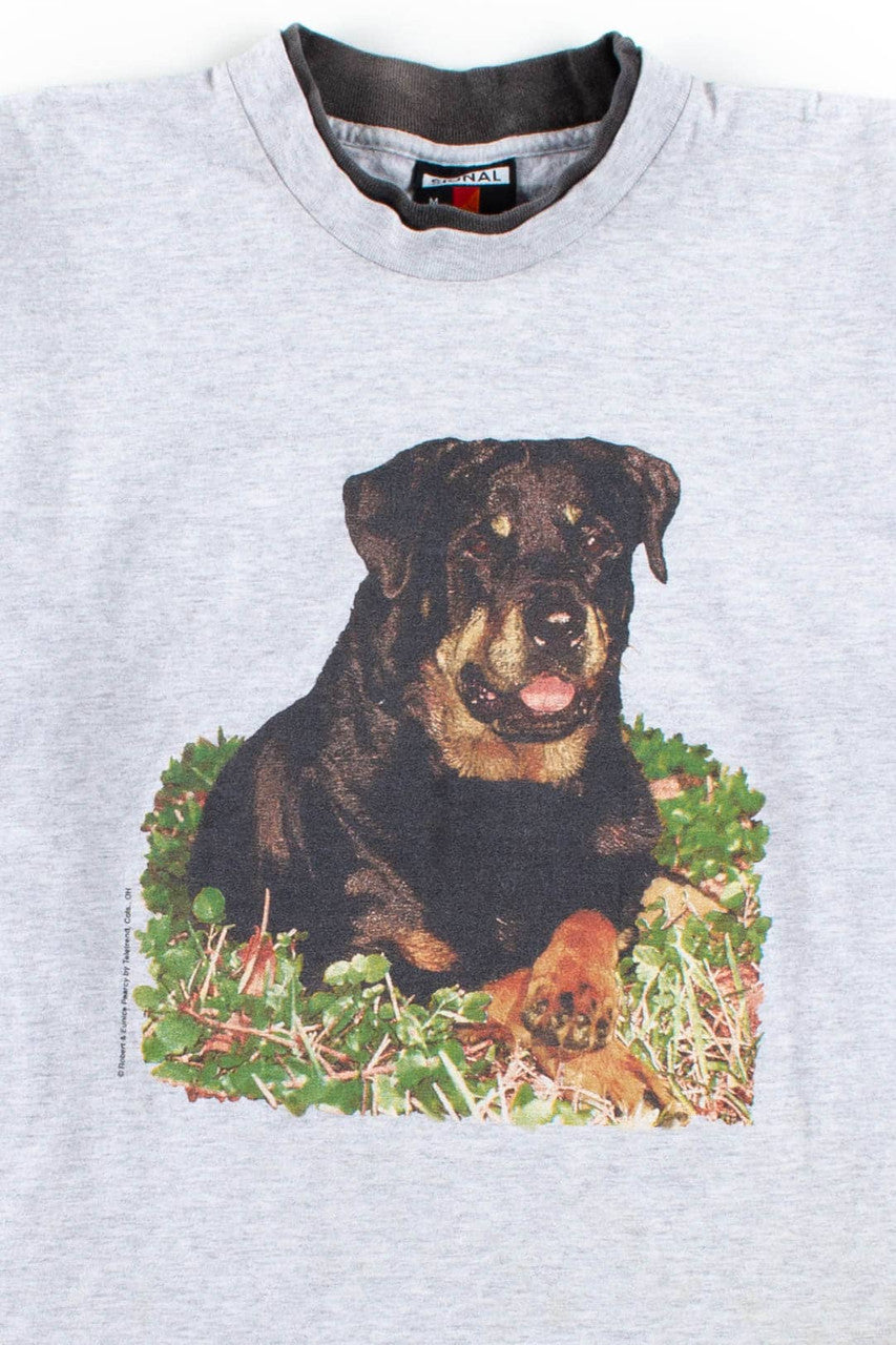 Rottweiler Portrait T-Shirt (Single Stitch)