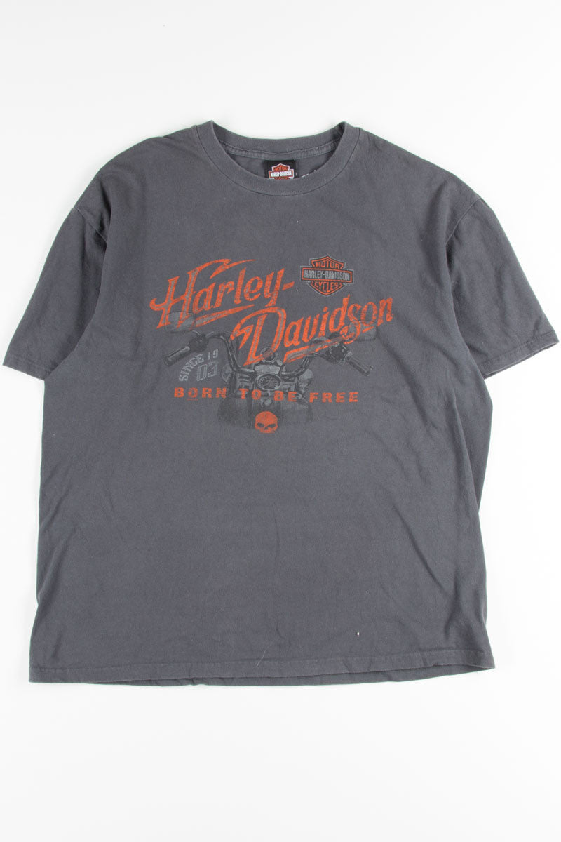 Fairfax Born To Be Free Harley-Davidson Tee