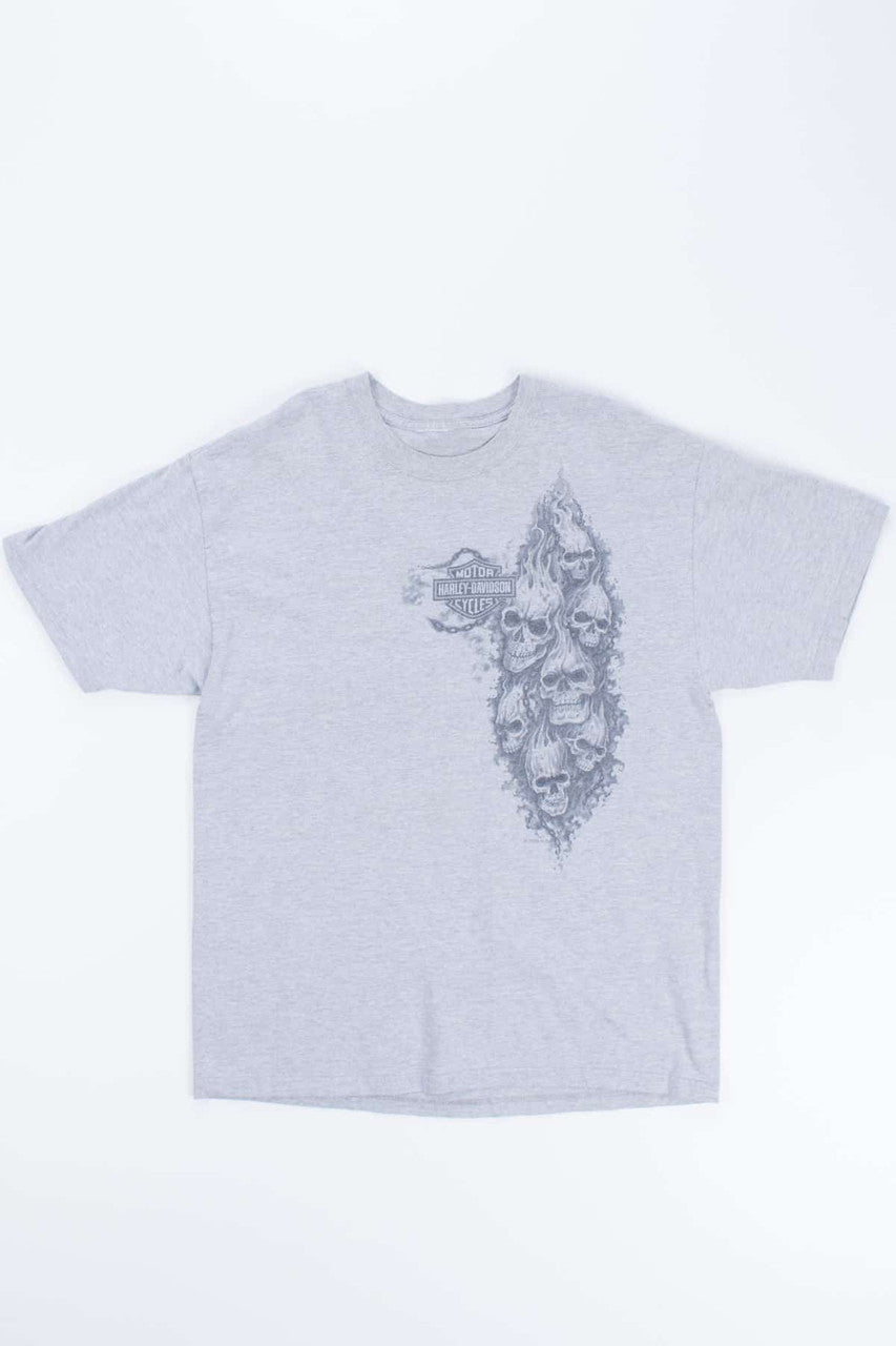 Harley Twin Falls, Idaho Snake Grey T-shirt