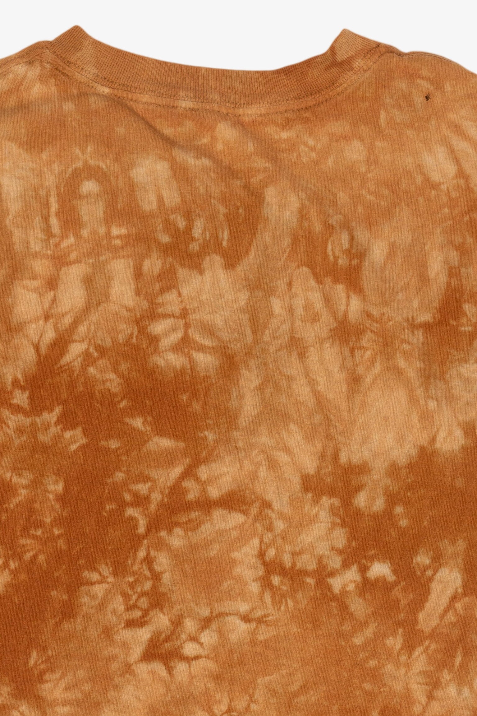 Bald Eagle Tie-Dye T-Shirt (2000s)