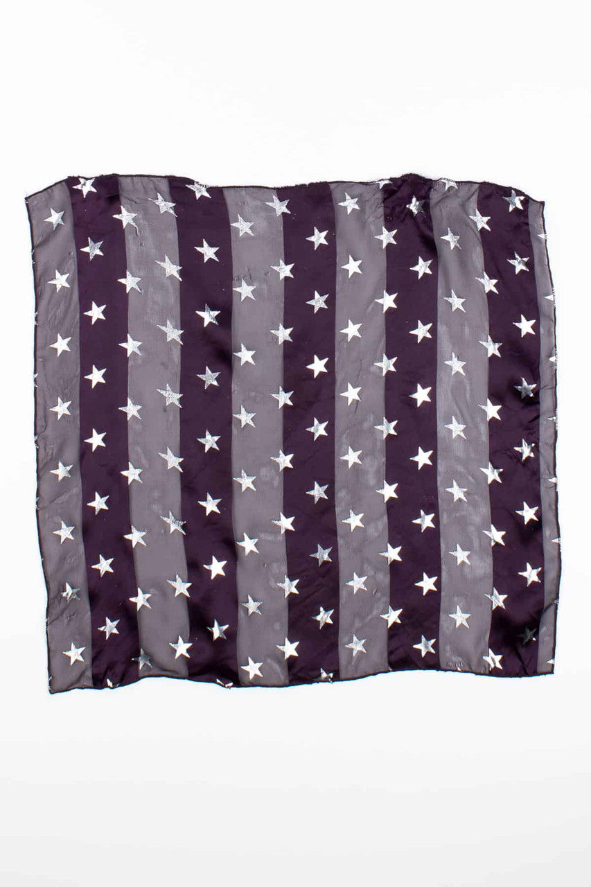 Flocked Silver Stars Purple Striped Scarf
