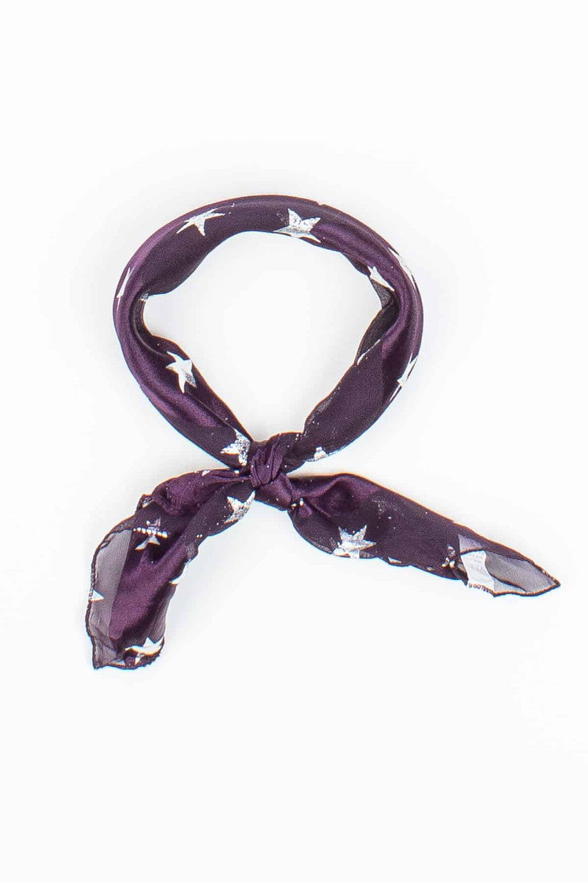 Flocked Silver Stars Purple Striped Scarf