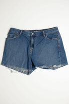Vintage Levi's Short 2