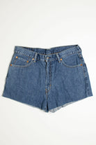Vintage Levi's Short 12