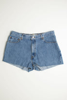 Vintage Levi's Short 4