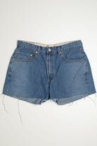 Vintage Levi's Short 20